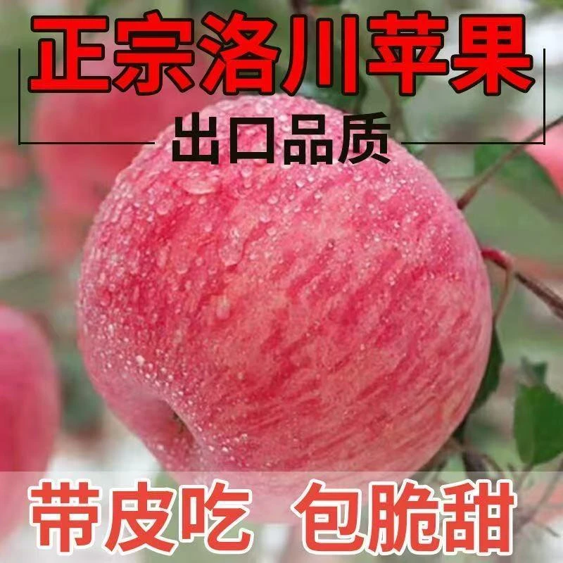 陕西洛川红富士苹果当季新鲜水果脆甜多汁皮薄肉厚老人小孩孕妇