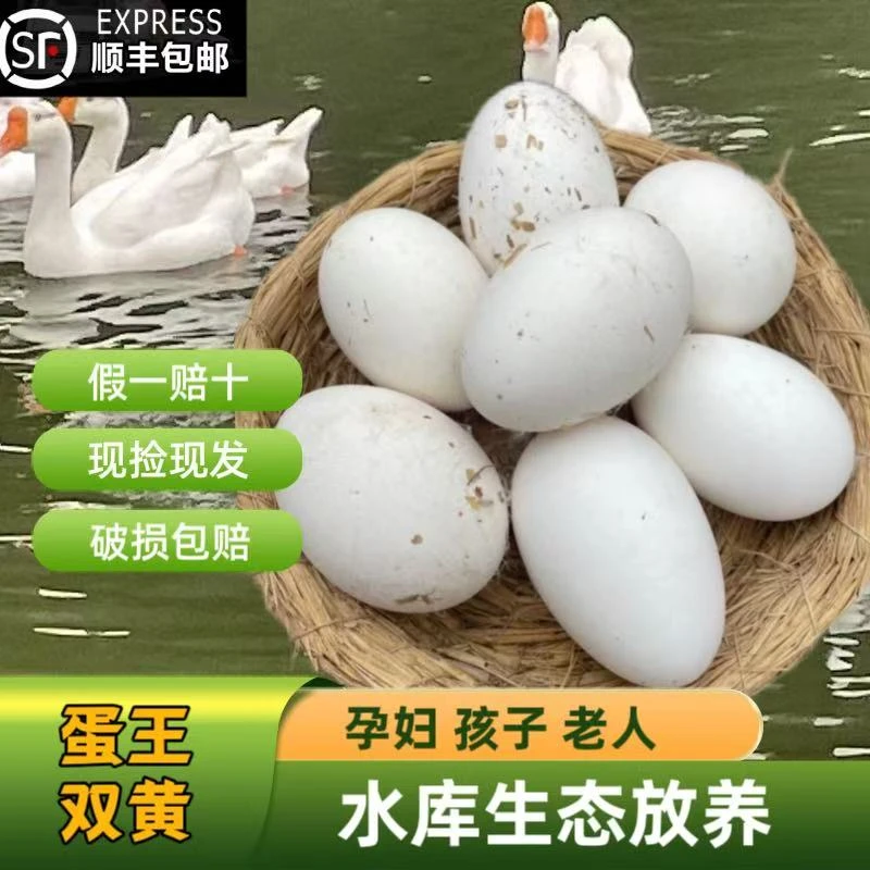 (蛋王有双黄）农家水库散养鹅蛋土鹅蛋保真现捡鲜鹅蛋破损包赔