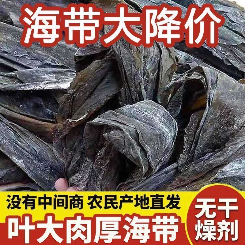 日晒干海带头特厚炖汤去头干海带纯天然干货凉拌火锅食材海带干