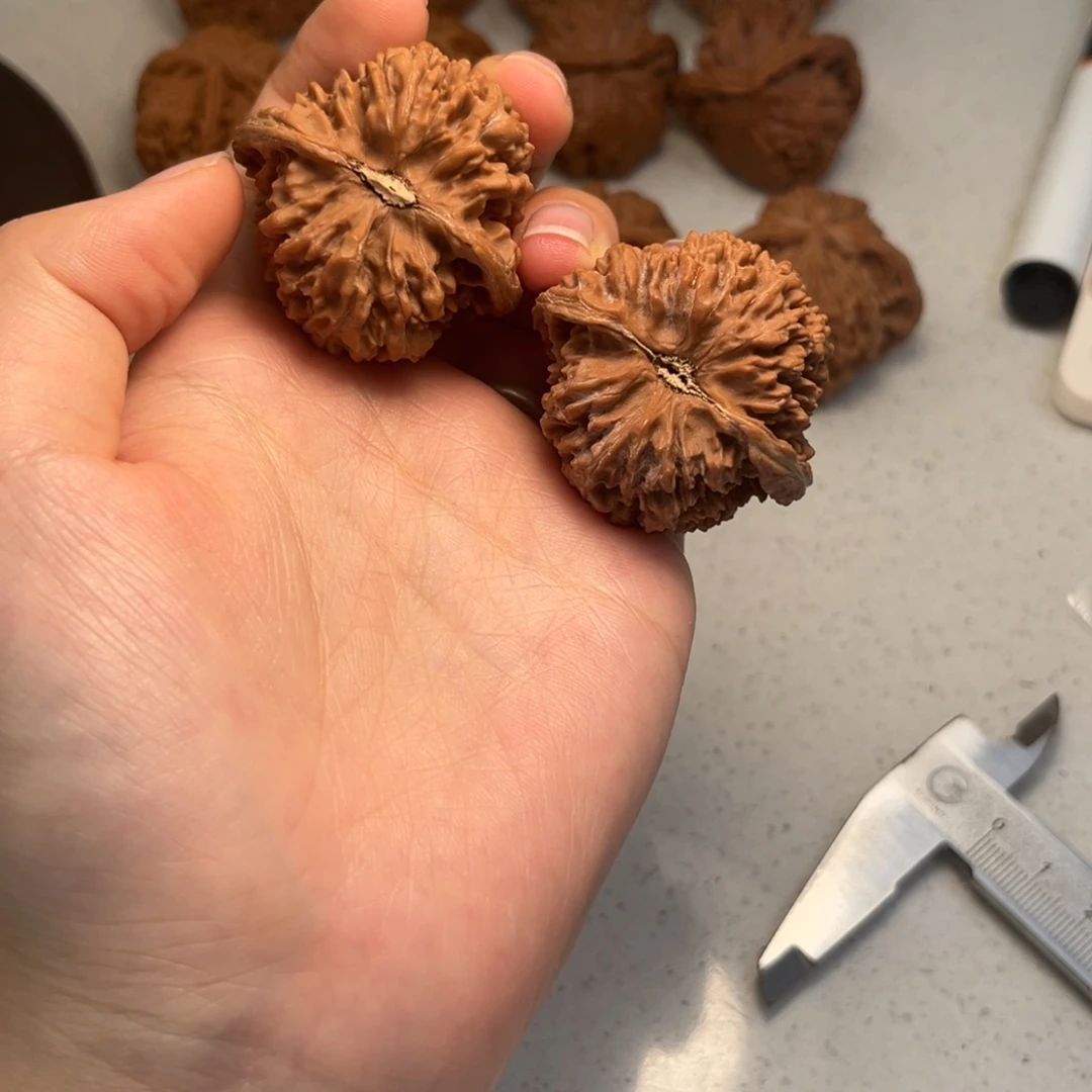 齐***齐大叶紫檀（黑酸枝木类）