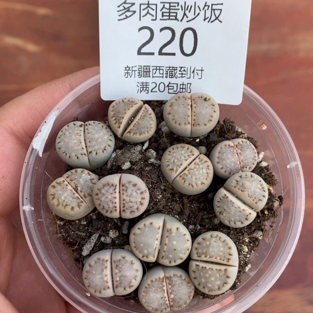 感谢您的支持，00220