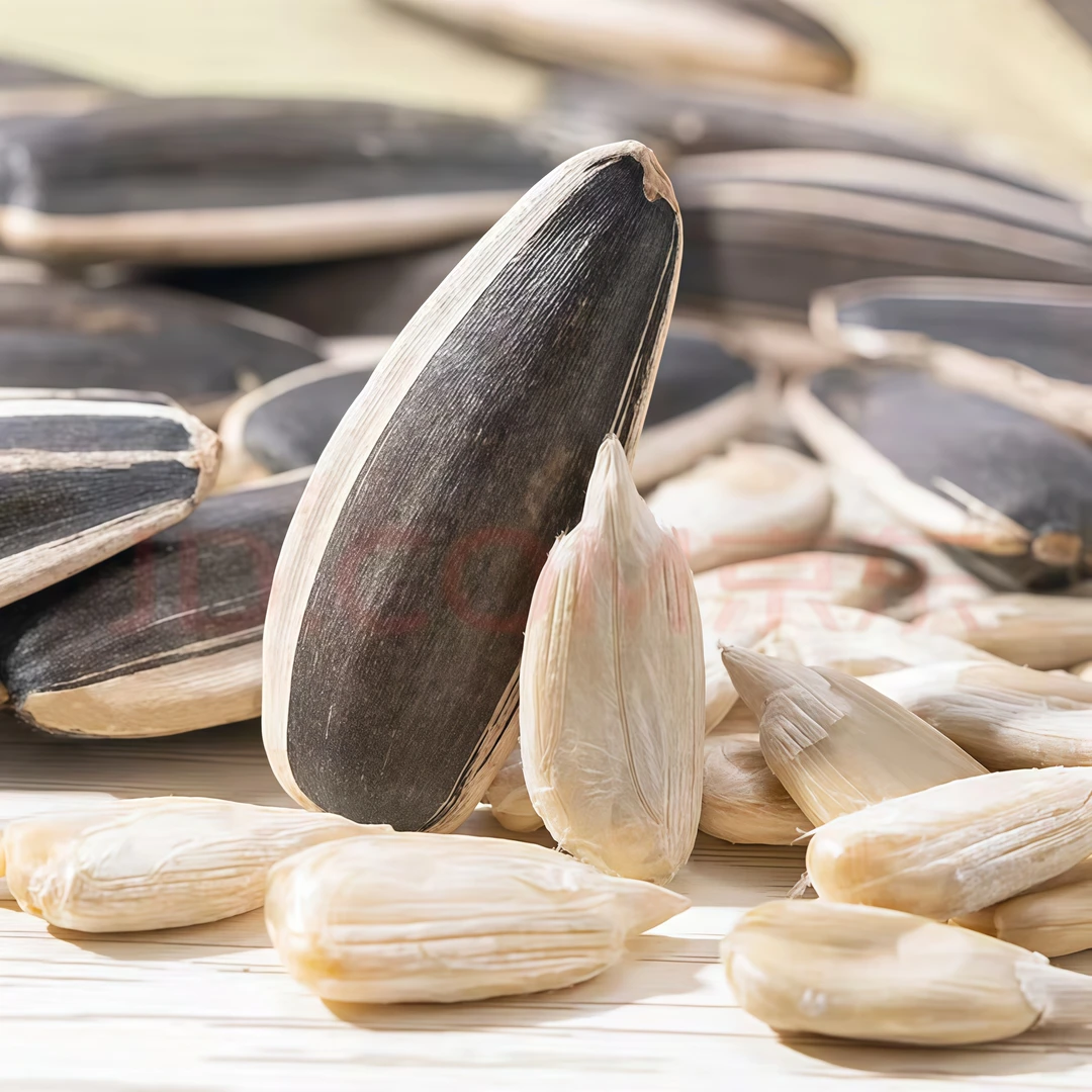 内蒙古特产大颗粒原味葵花籽新鲜可口休闲必备瓜子