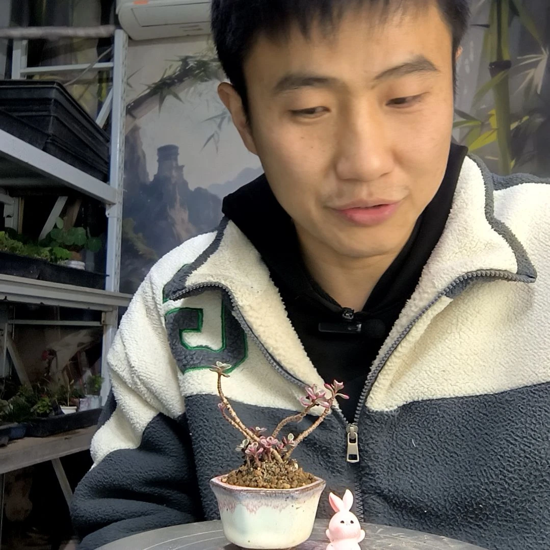 口*吕中青园艺一物一拍412