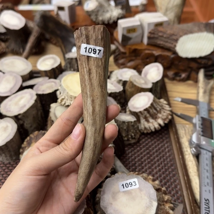 鹿骨手串/手链1097角尖