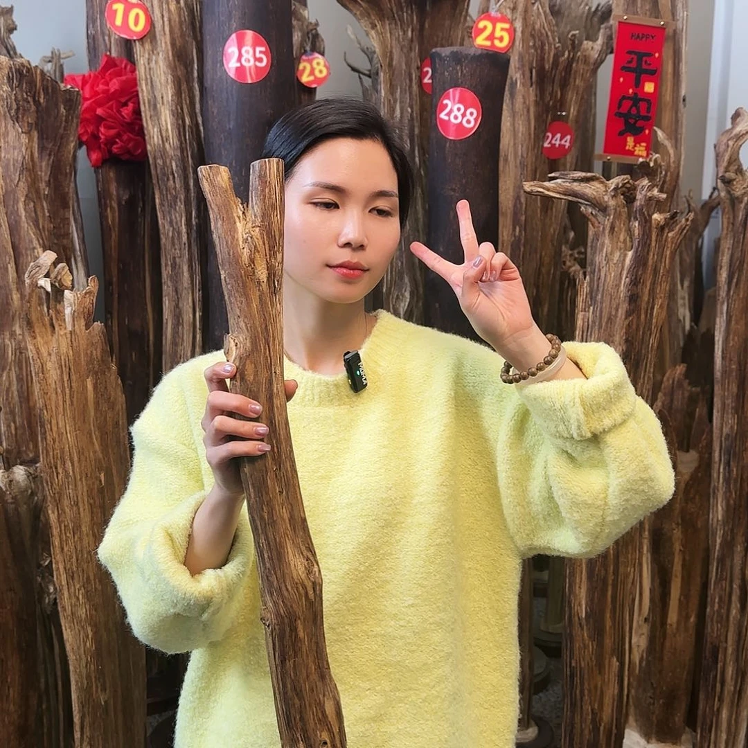 沉香摆件沉香原木工艺品摆件➕底座