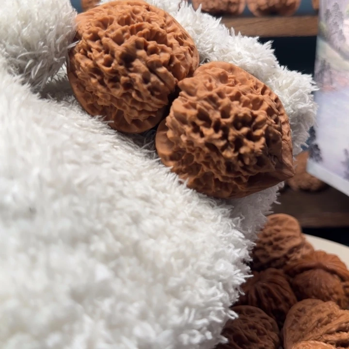 秋*儿啦啦啦啦啦噜啦啦啦啦噜