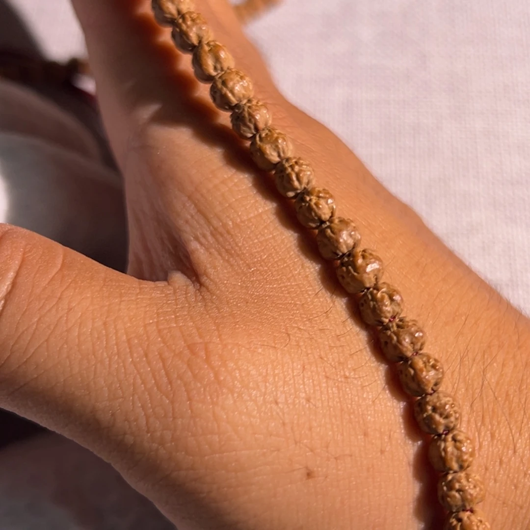 山***王头货精挑6.3五爪金龙