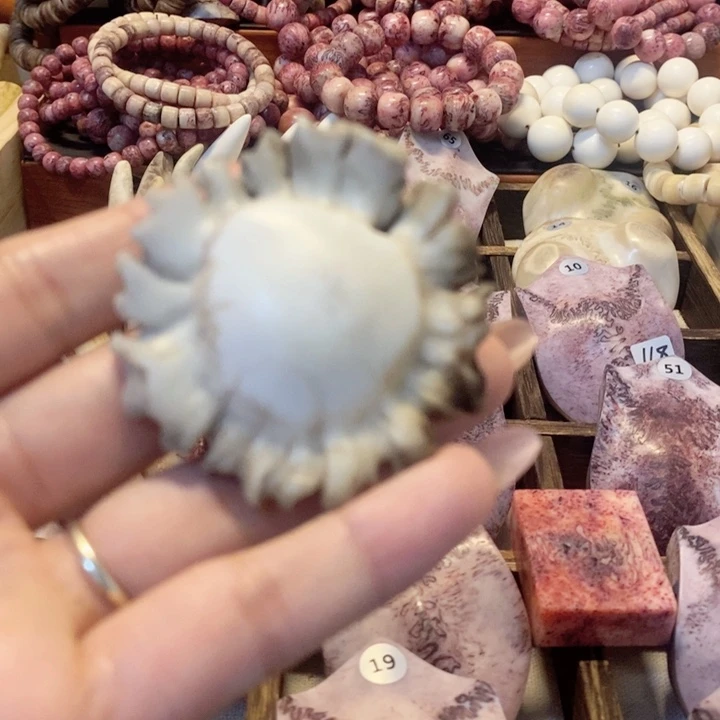 鹿角冒好看好看好玩