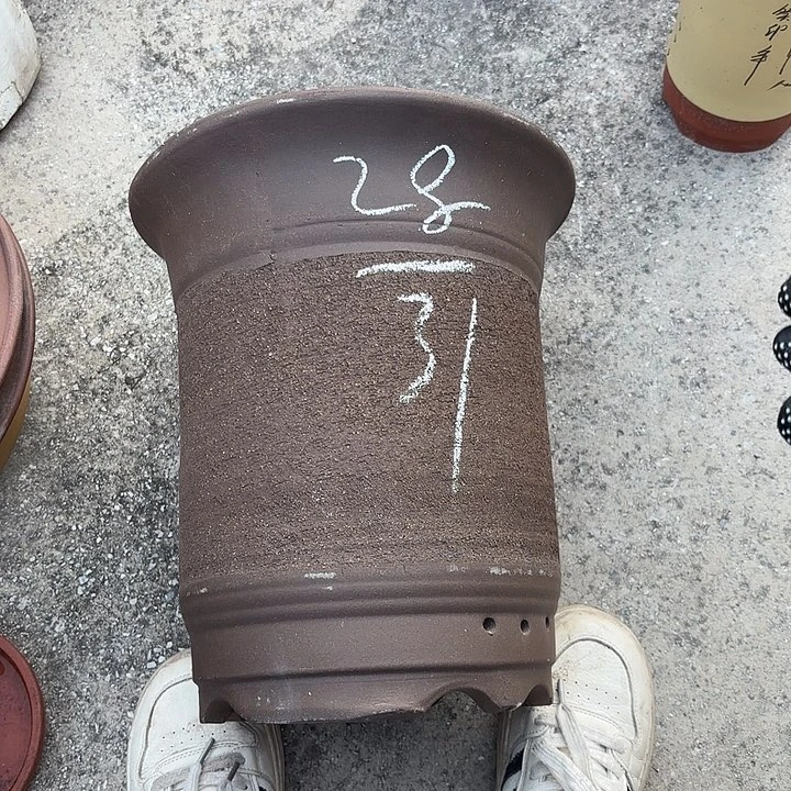紫砂花盆紫砂的花