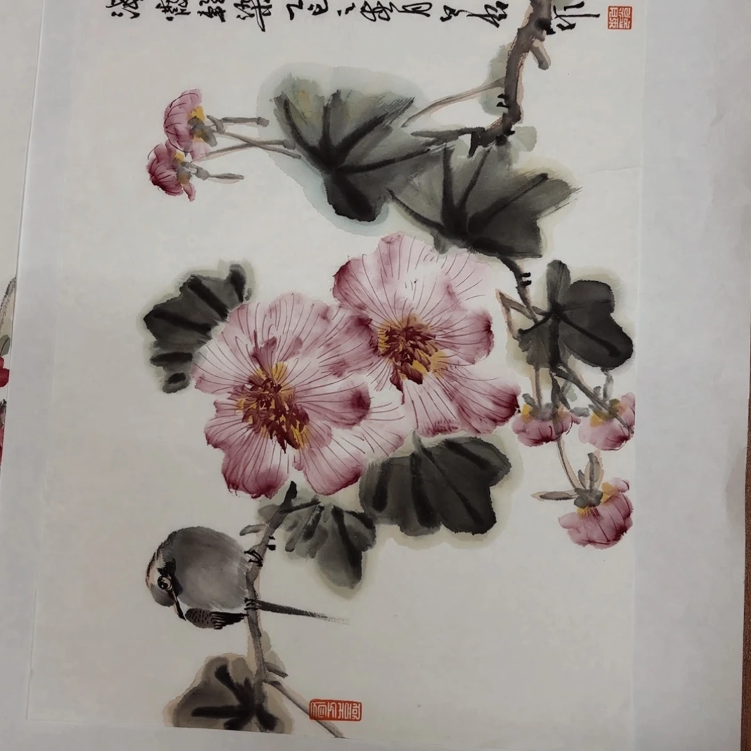 国画逗*玩白光芙蓉小鸟图