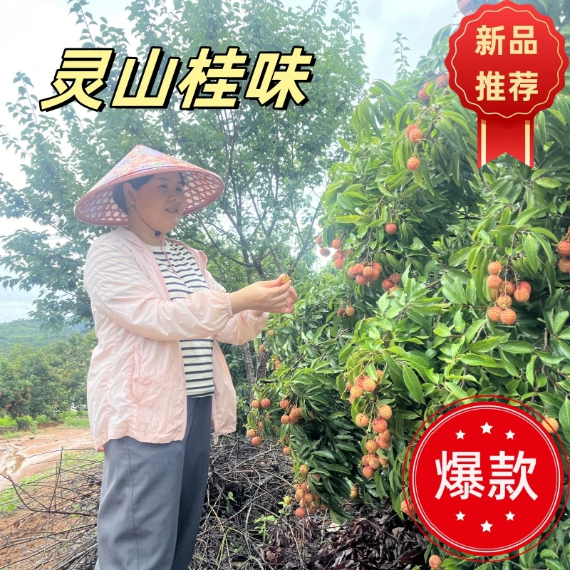 【全程冷链】果农细核桂味，99%小核，味道正宗，20年树龄/ 桂味，清货/