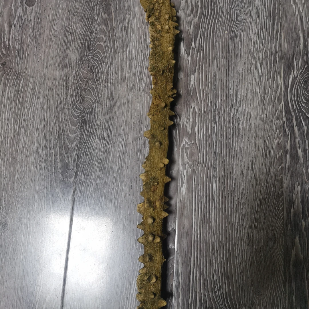 97号纯手工制作红刺刺拐杖