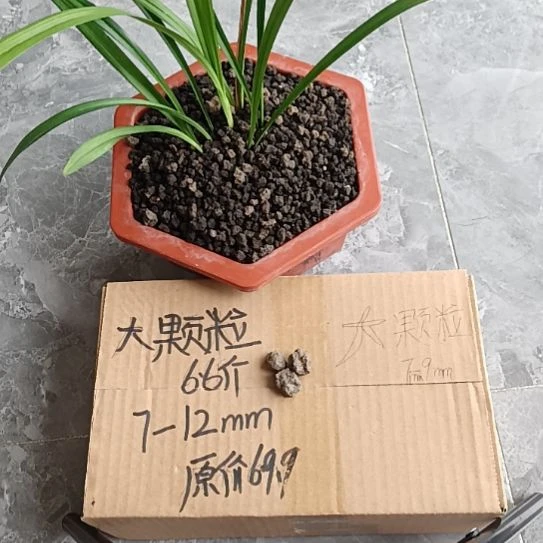 q***6兰菌黑山土大颗粒6.6斤