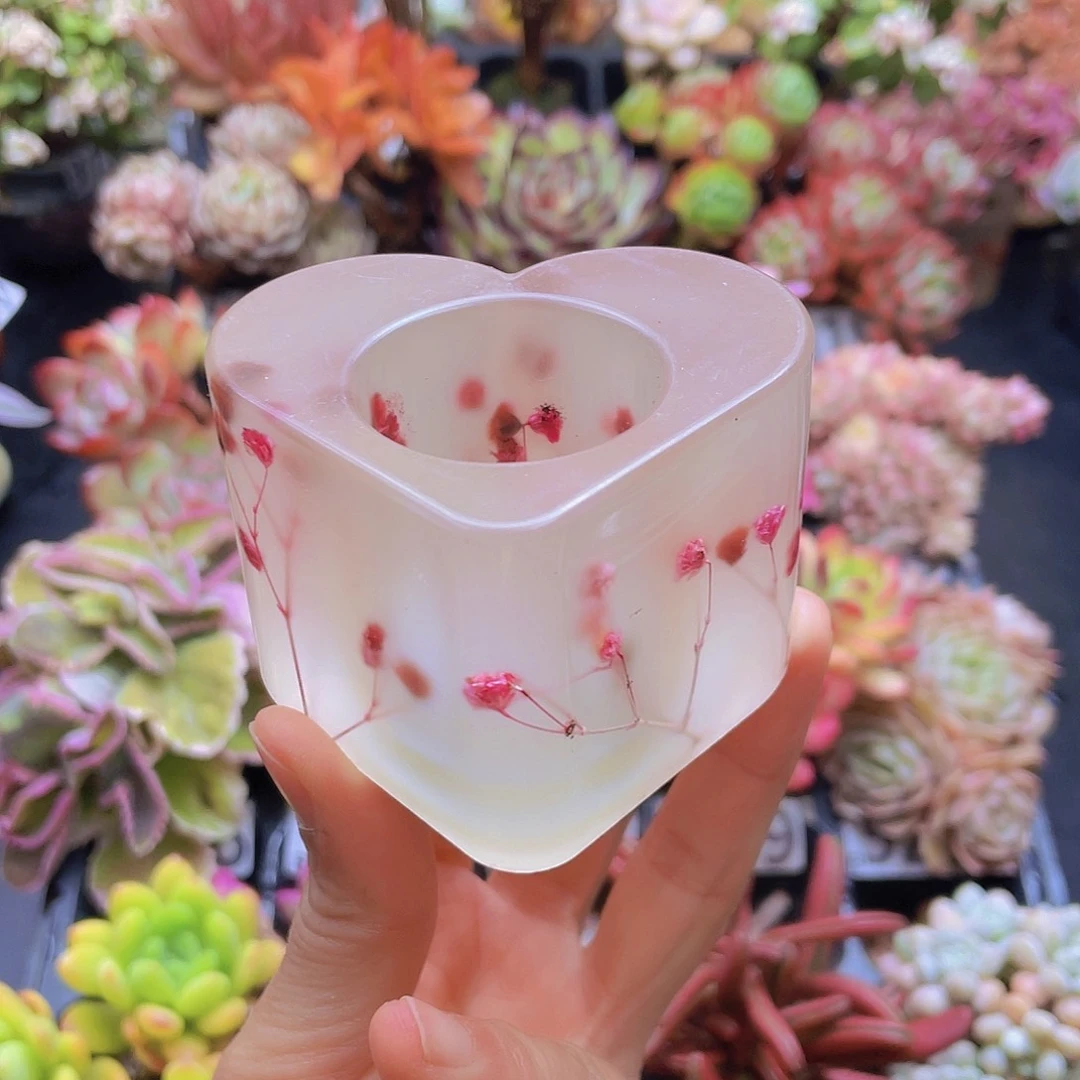 花钱花钱花钱花钱花钱花钱