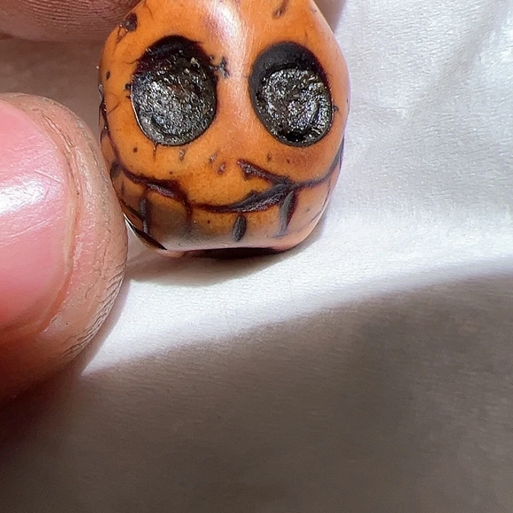 香榧木在这里的时候