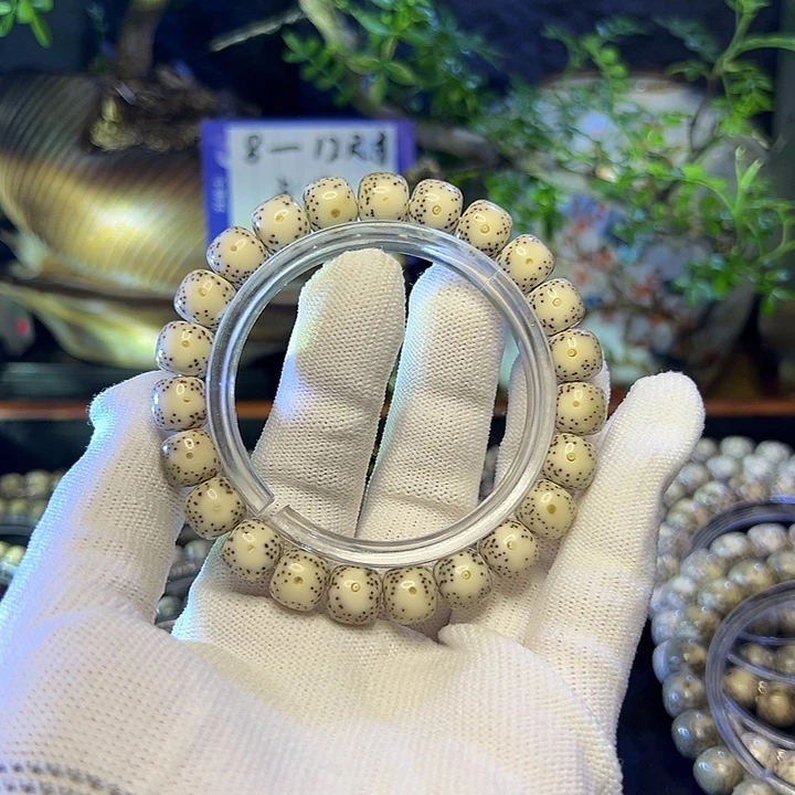 花***根手串星月菩提海南原生态