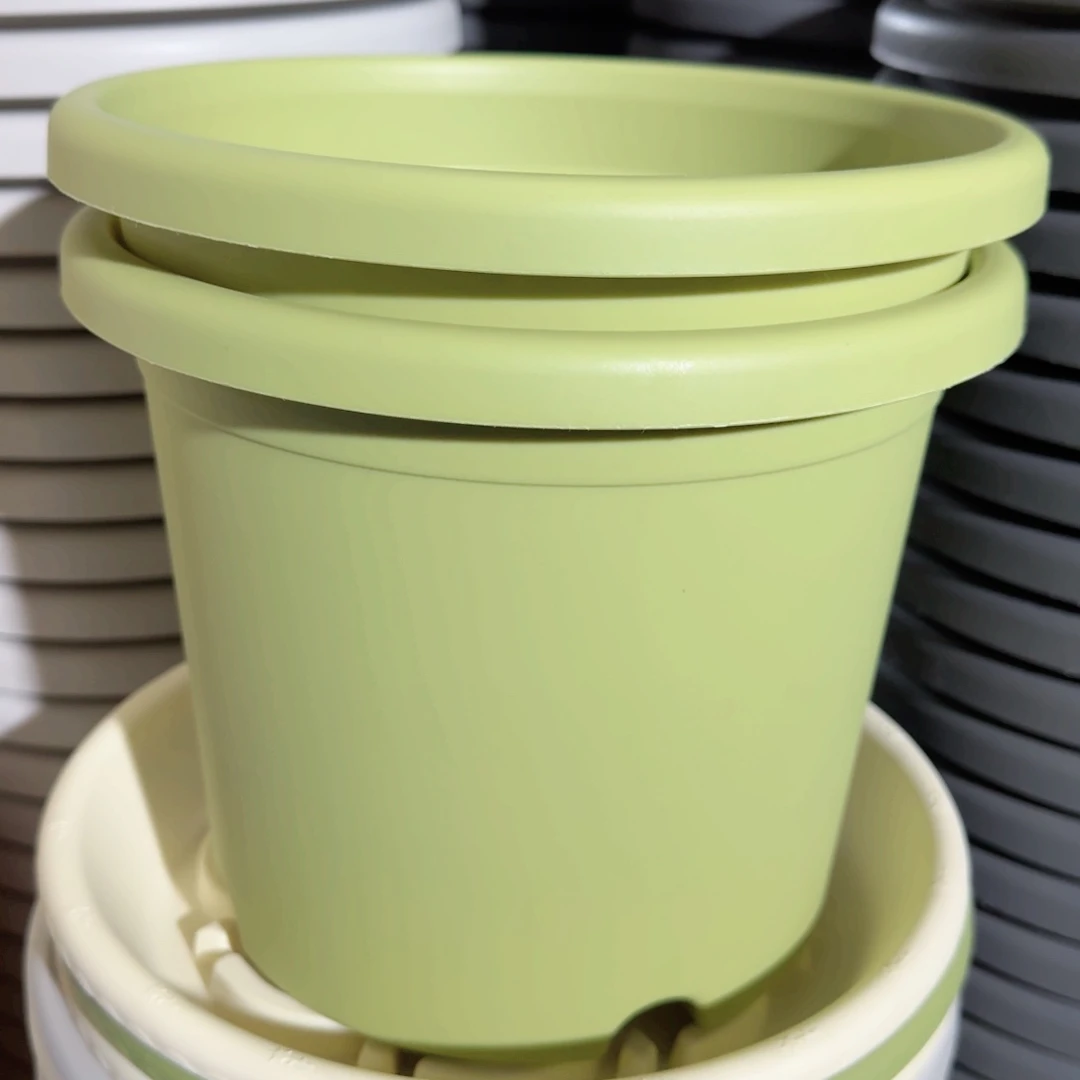 树脂四季3#无拖果绿10个