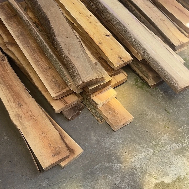 小叶桢楠2.5元一斤60+4张