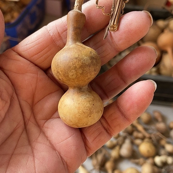 三*s vh di cao d h x