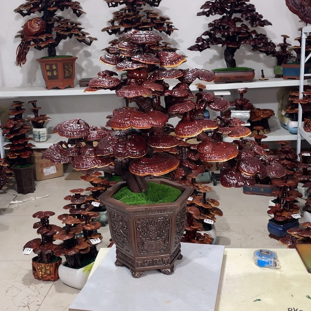 无花朵8888888888888888