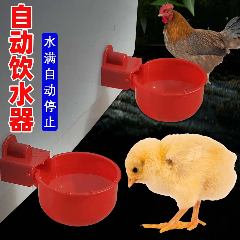 鸡用自动饮水器鸭鹅鸽子鹌鹑桶装喝水碗雏鸡饮水碗全自动新款水碗