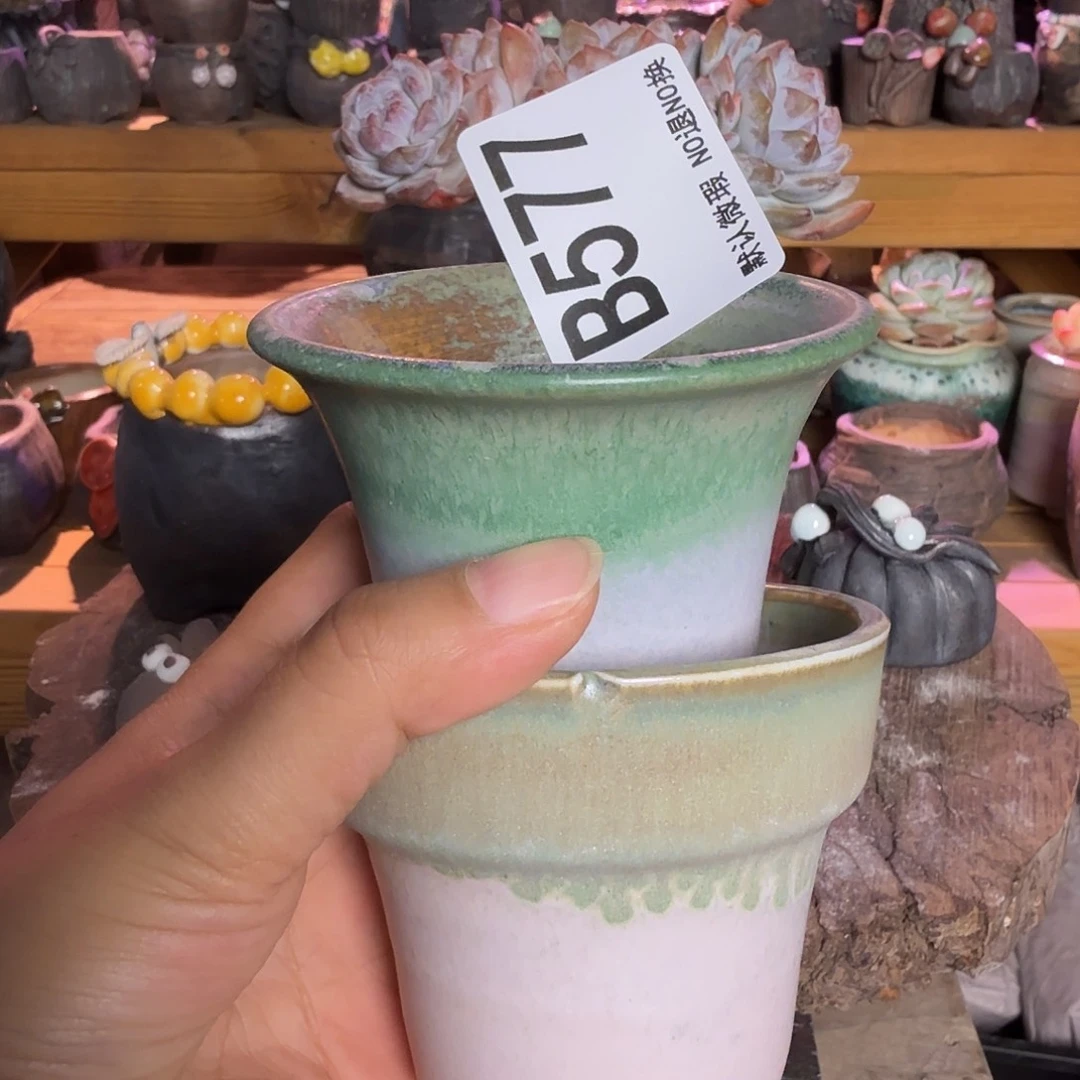 重庆小燕子欢迎大家577