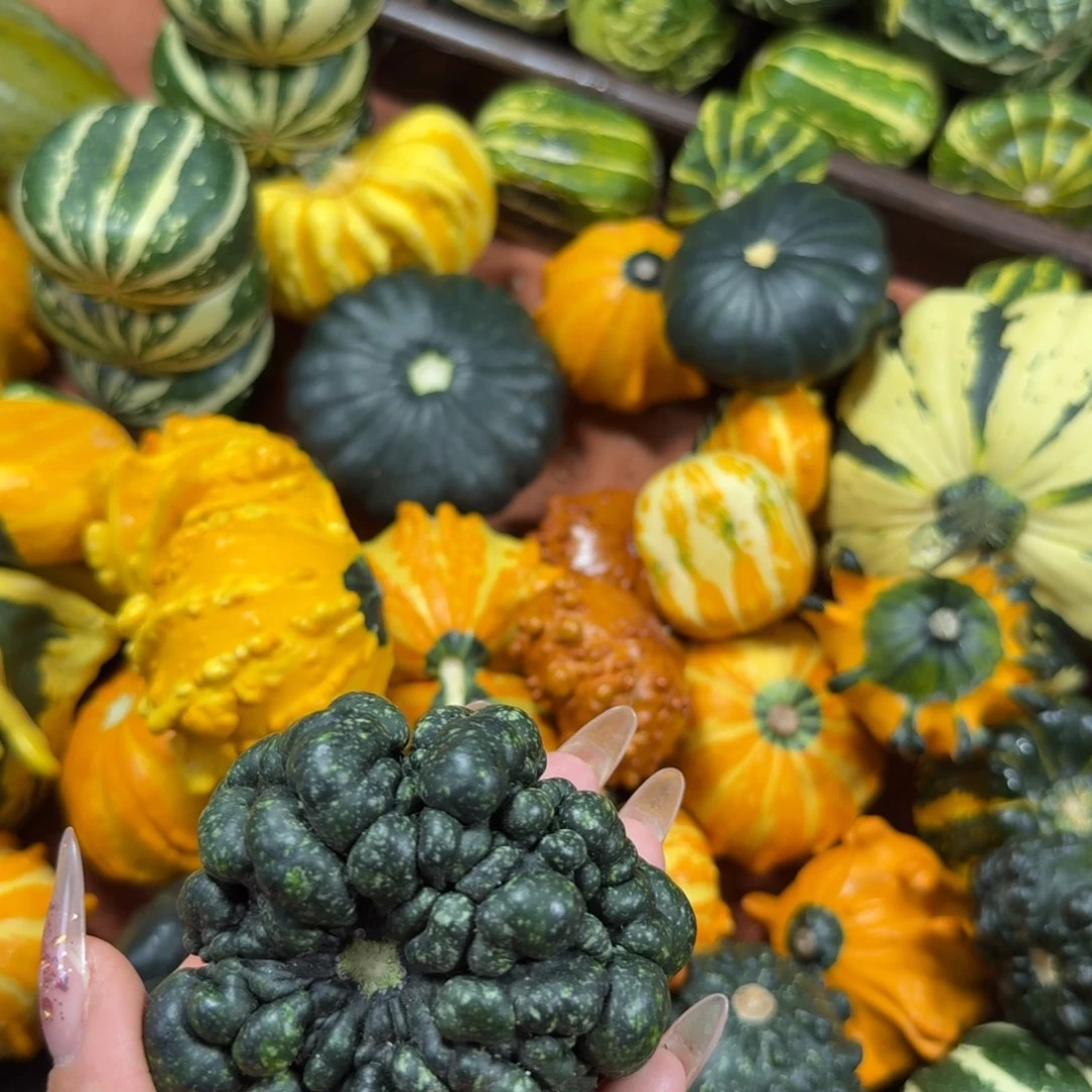 哆***梦饿哦饿哦饿哦饿哦饿哦