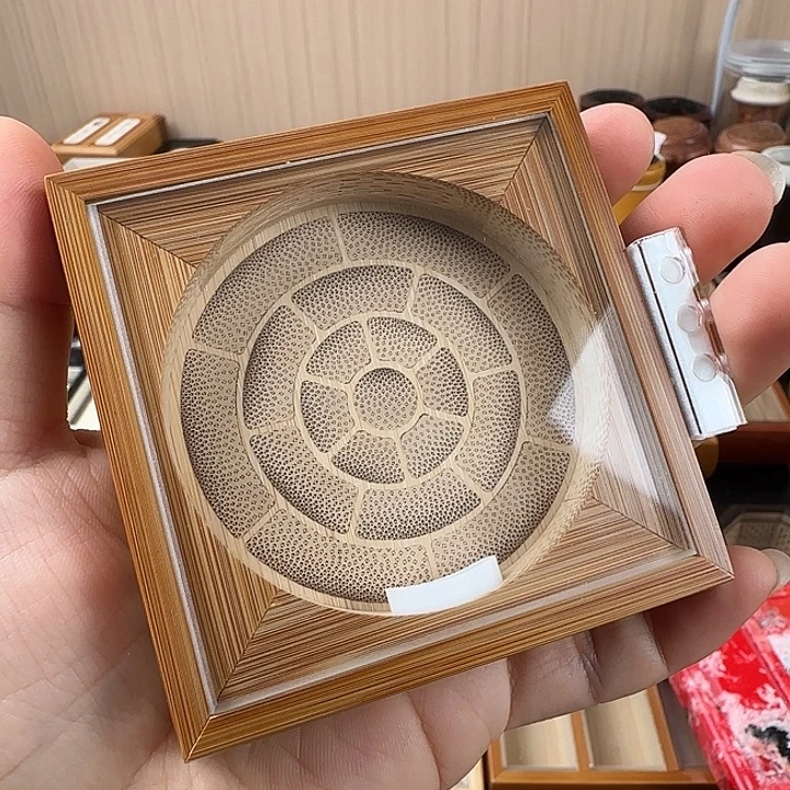 仅一天鸣虫盒送加湿器
