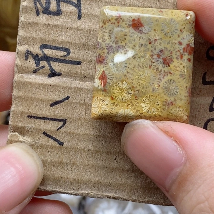 颈饰未镶嵌硅化珊瑚（珊瑚玉）竹***声