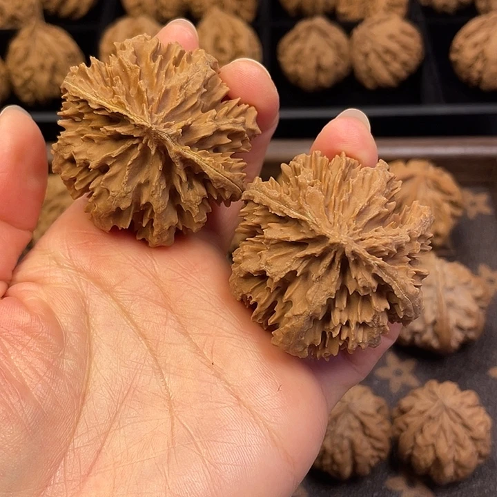 吊坠文玩核桃秦岭等地区均已发现