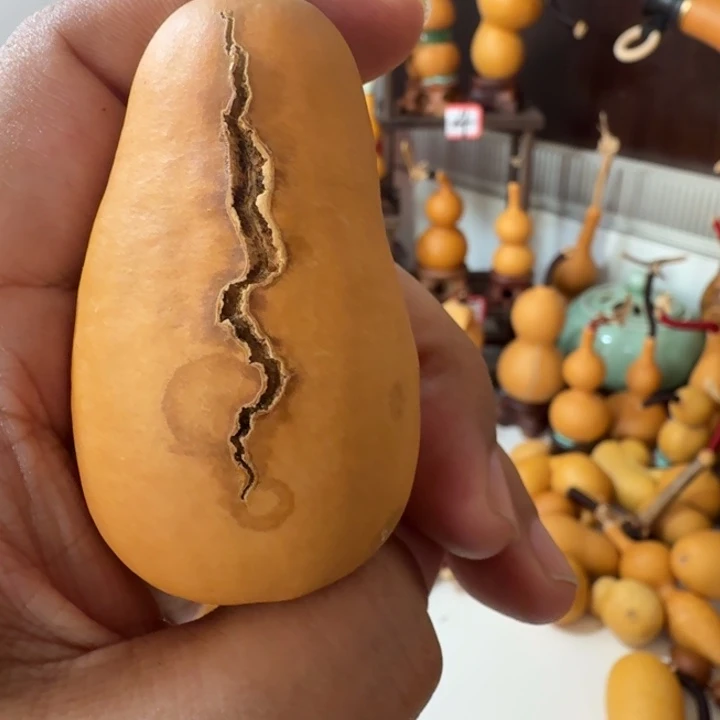 小***子这个世界没有什么