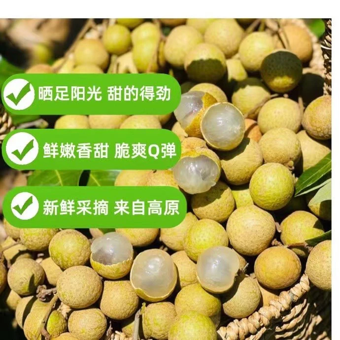 【顺丰】正宗青皮石硖龙眼新鲜现摘清甜多汁肉厚饱满当季水果