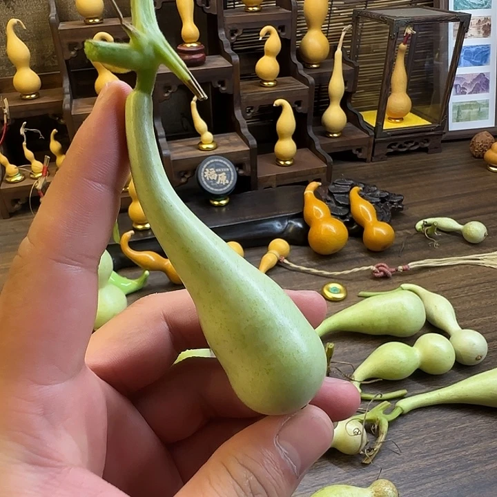 小***儿大叶紫檀（黑酸枝木类）