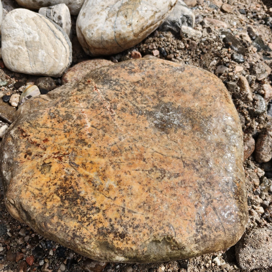 唐河彩摆件观赏石直播选货链接不要私拍