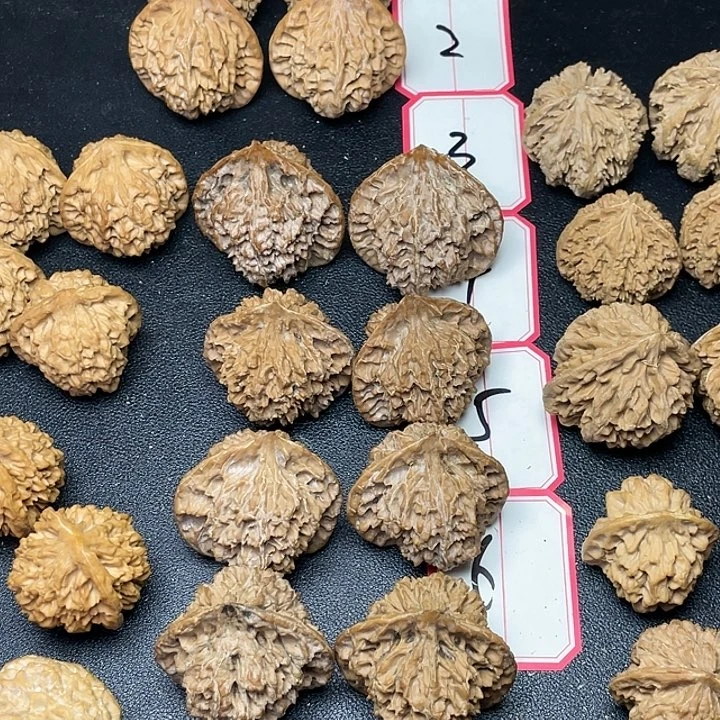 【闪购商品】文玩核桃把件隆林官帽4对