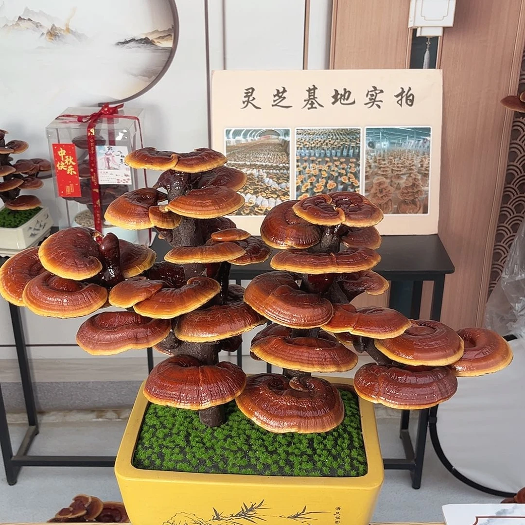 无花朵万事如意8888888888888