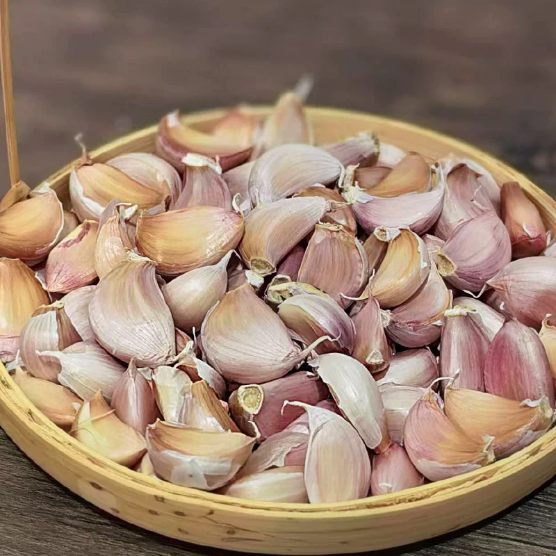 陈书记推荐正宗苍山蒜瓣