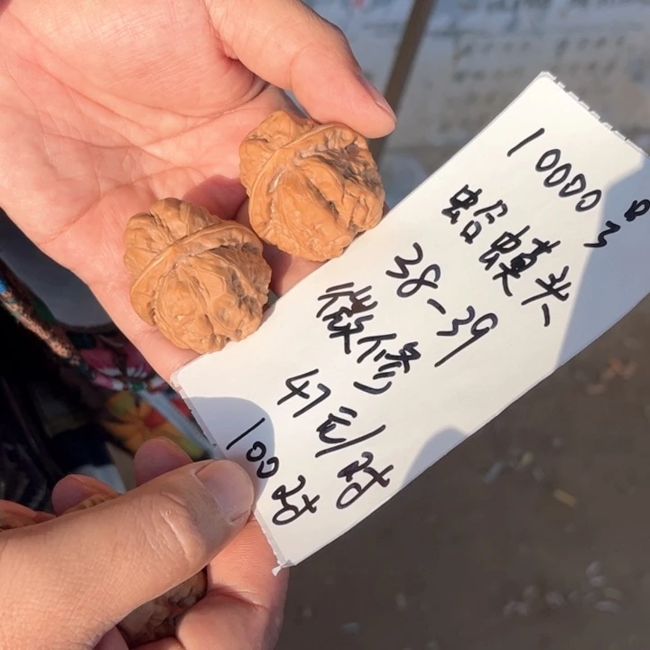 文玩核桃把件10000号尺寸38-39mm蛤蟆头
