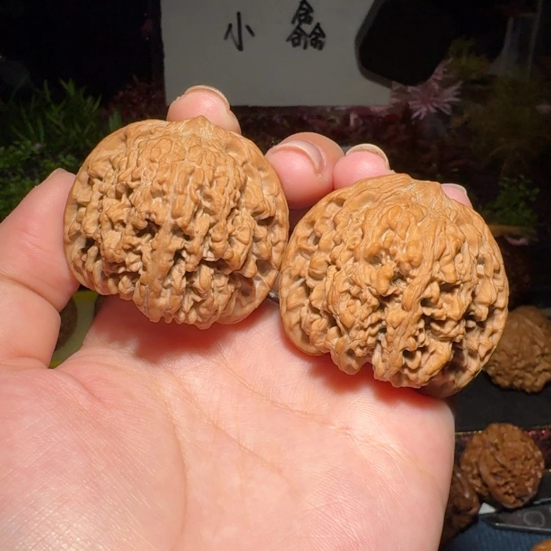 核桃把件993号44满天星文玩核桃