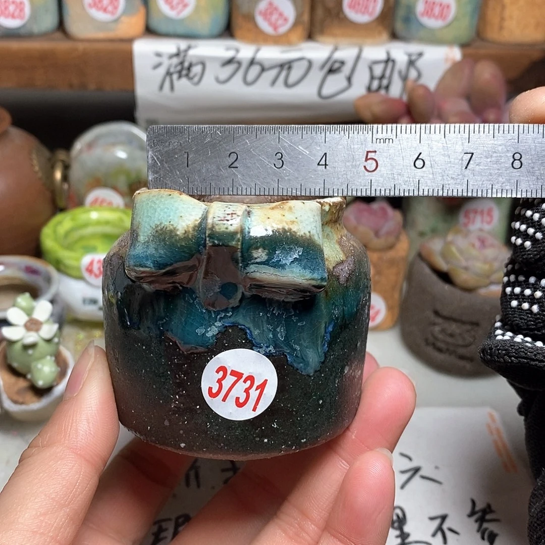 红陶拍5送一个小