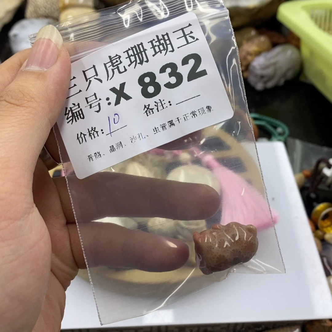 硅化珊瑚（珊瑚玉）X未镶嵌肖*