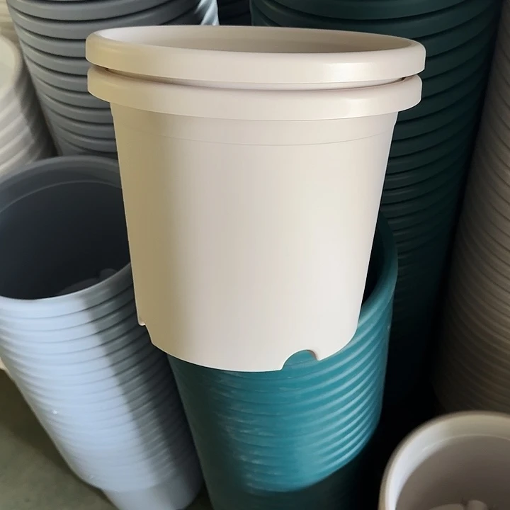 四季5#口径29灰白5个无托