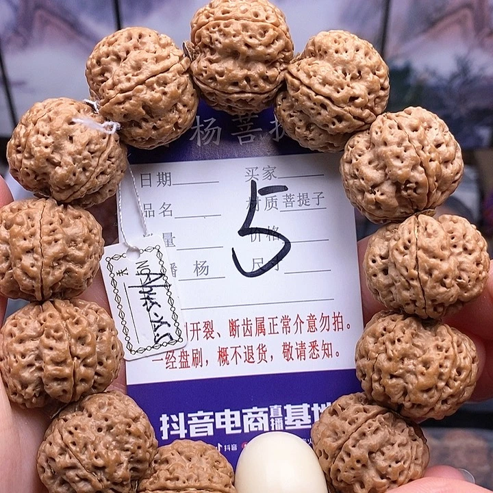 手串金刚菩提24.+双龙