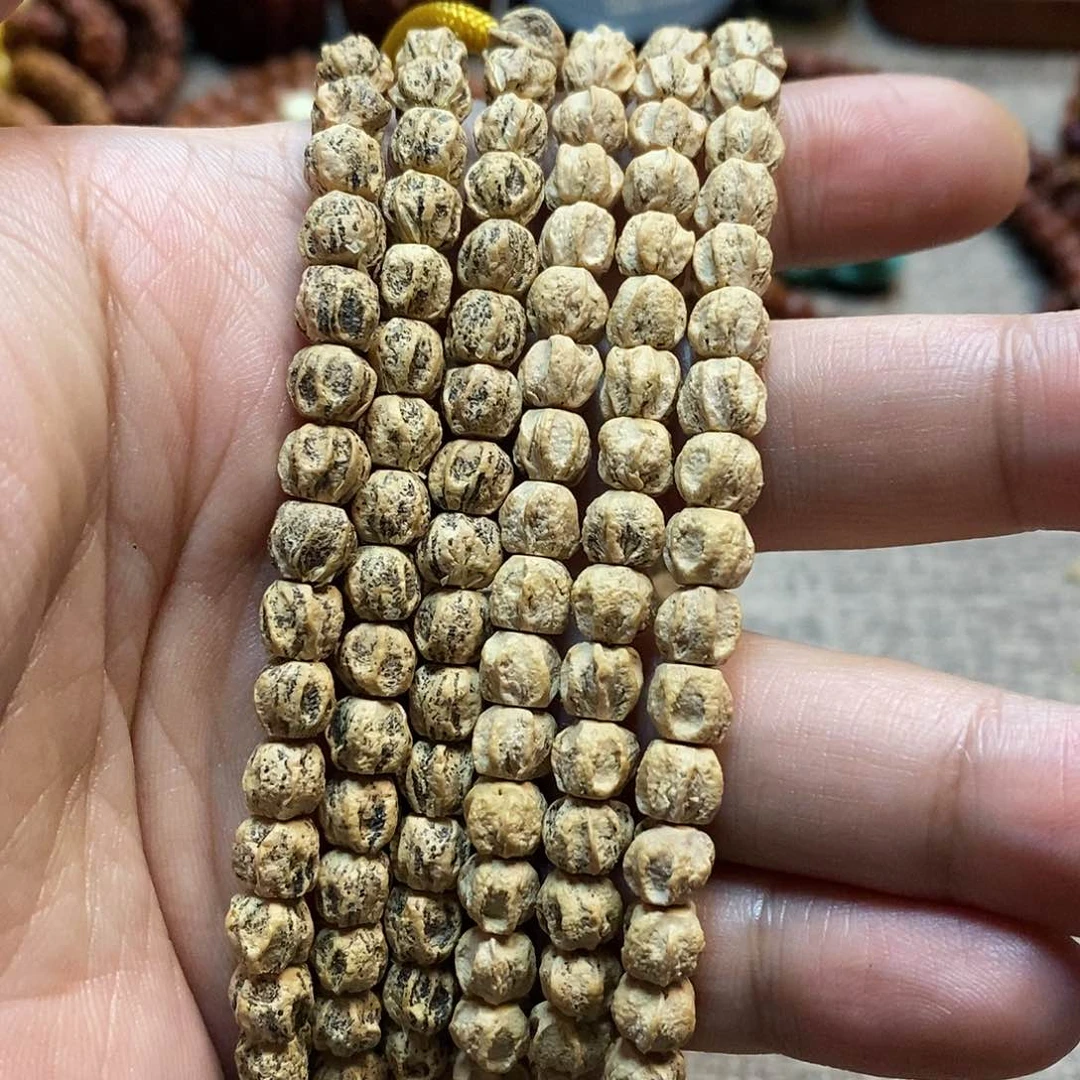 吊坠柏香籽/百香籽热振F8