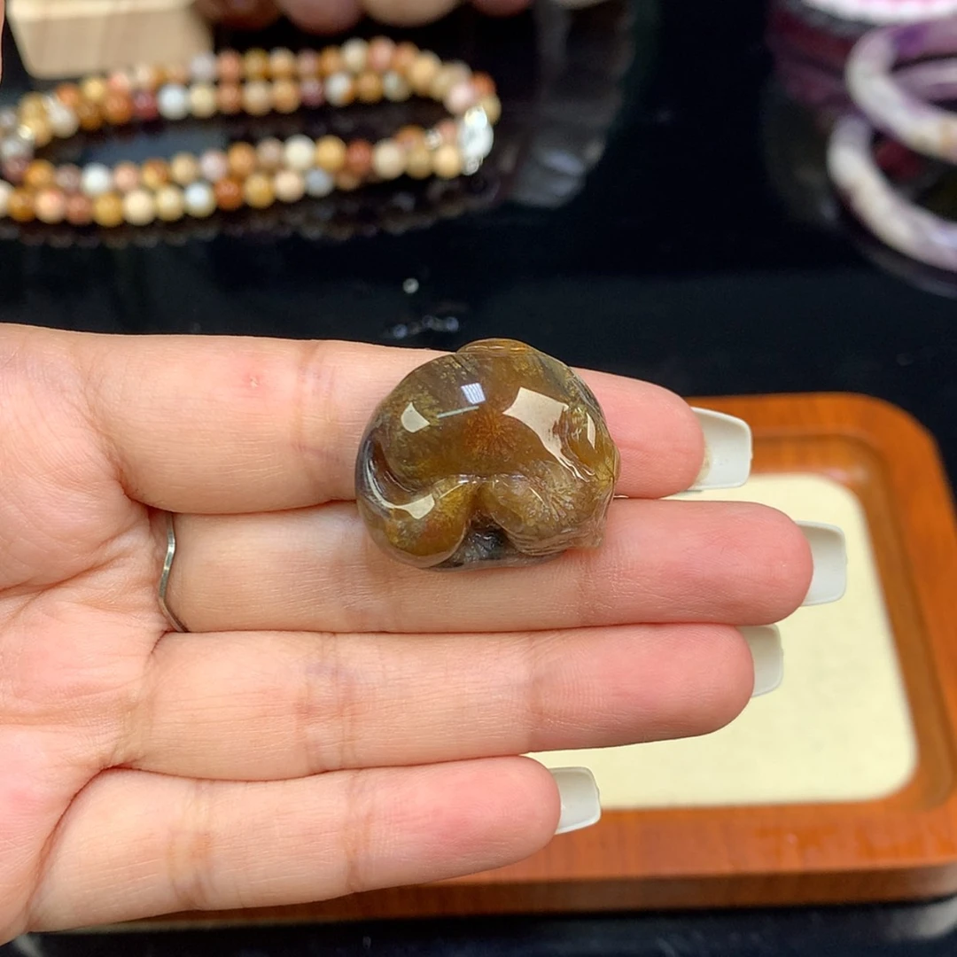 【闪购商品】颈饰未镶嵌硅化珊瑚（珊瑚玉）35号