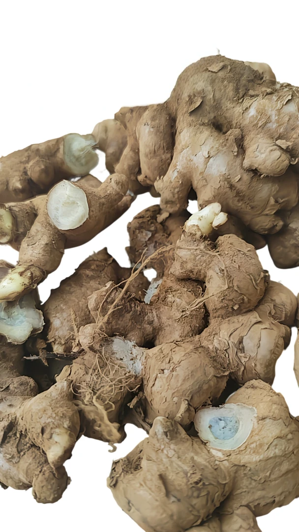 云南高原山货 青姜 卤蛋甄选