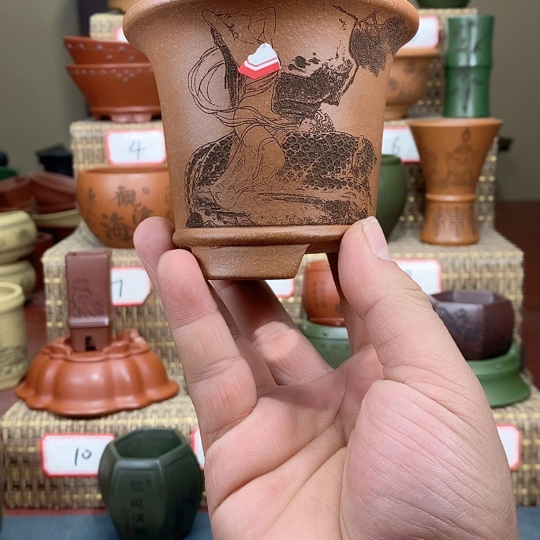 紫砂花盆我在等他