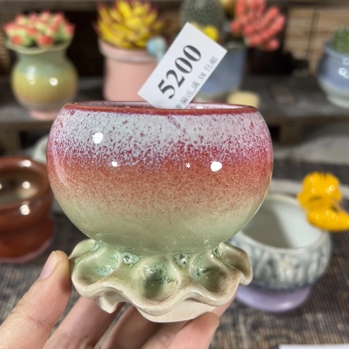 6口高8……手工花盆满30元包邮