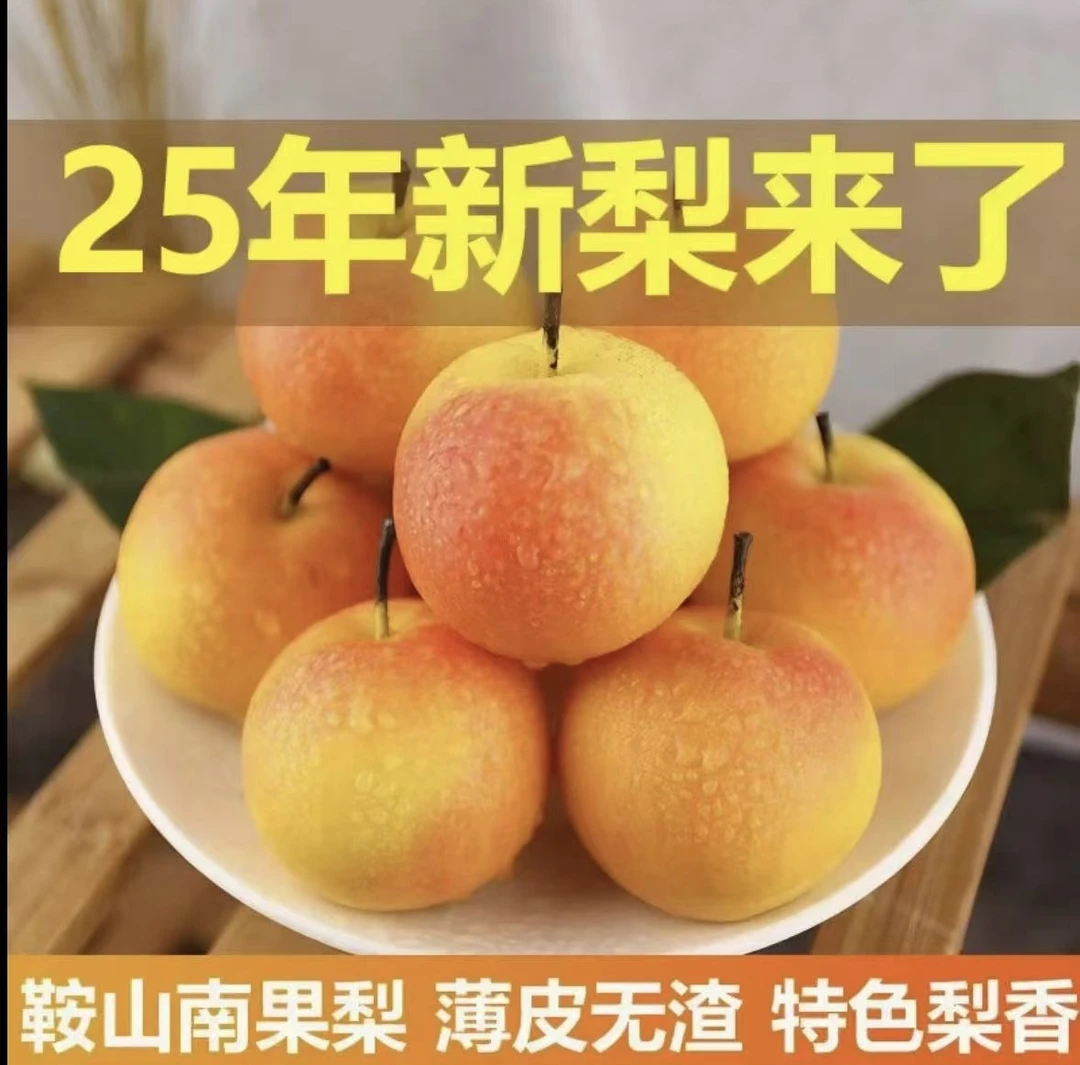 鞍山南国梨东北特产新鲜水果酸甜多汁酒香浓郁产地直销（净重保5斤