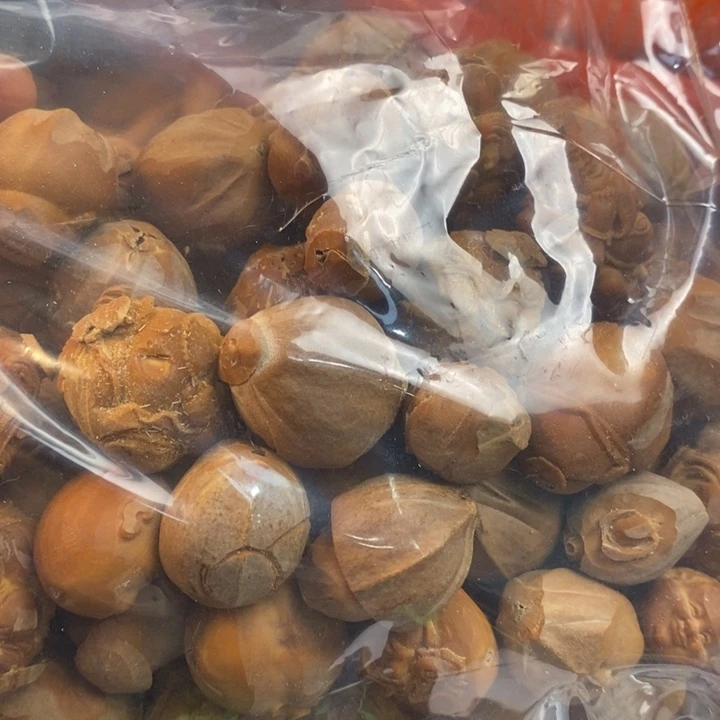 香榧木雅*我們的朋友